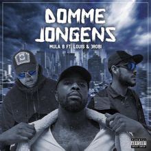 Wilde Westen – Domme Jongens Lyrics 